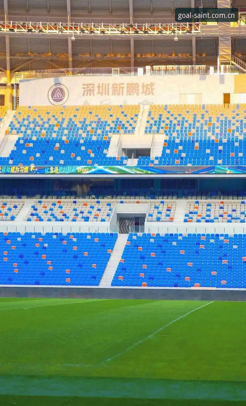 揭秘球圣体育直播：这个DLT平台如何改变了我的观赛习惯